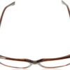 Gafas DSQUARED2 D2 0115 HORN BROWN Montature Donna-3