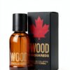 Abbigliamento Dsquared2 Wood-1